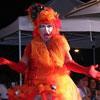 Stop dei vicini alle drag queen tolleranza zero e città spenta 