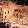 Percorso notturno alla necropoli di Baratti e Populonia 