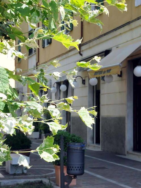 Pidocchi e zanzare, piazza Istria off-limits 