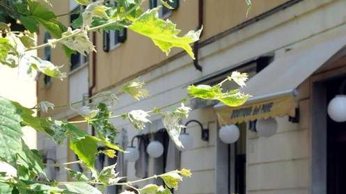 Pidocchi e zanzare, piazza Istria off-limits