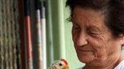 Orfano due volte: il pulcino cresciuto come un bambino