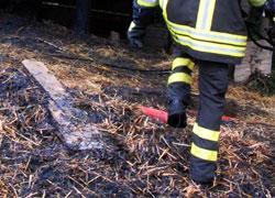 Tre ettari di bosco e coltivazioni in fiamme 