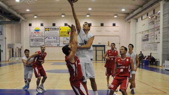 Basket Cecina, si cerca un lungo di valore
