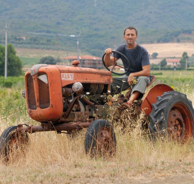 Lo skipper che affronta la crisi da Castiglione naviga sui mercati 