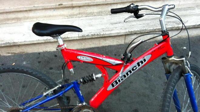 Appello dei carabinieri «Di chi sono queste bici?»