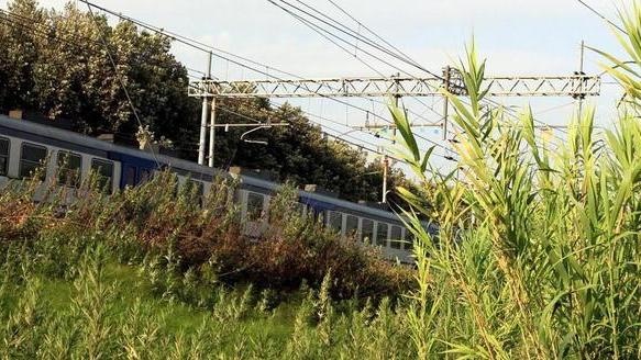 Pericolo incendi per i treni foreste a ridosso dei binari