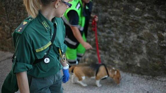 I cani dell’Anpana scovano le esche avvelenate
