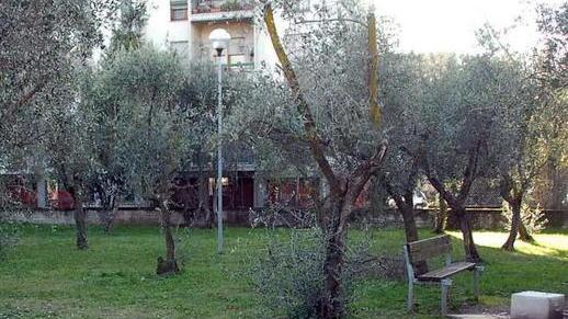 300mila mq di verde ancora da adottare per la manutenzione