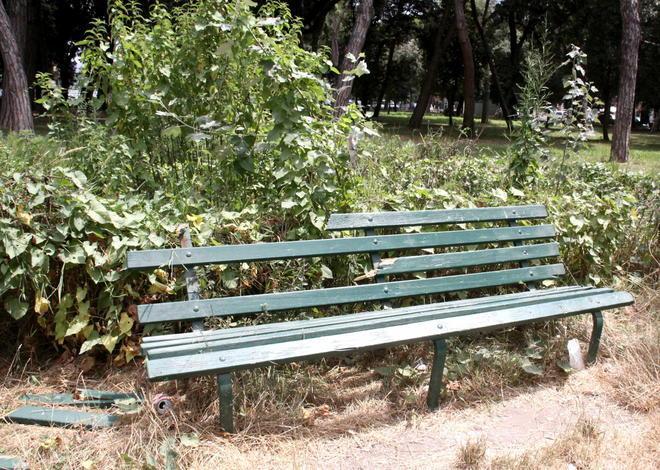 Panchine rotte (assediate dall’erba)