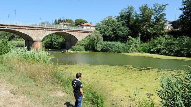 Ecco cosa sta uccidendo il fiume