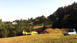 Pensionato muore cadendo da un albero di ciliegio