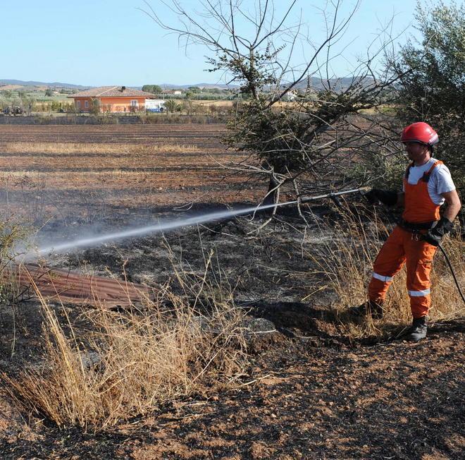 Incendi, paura a Follonica e a Roselle