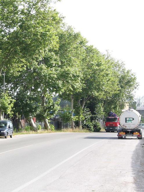 Moto contro l’albero Grave un centauro 