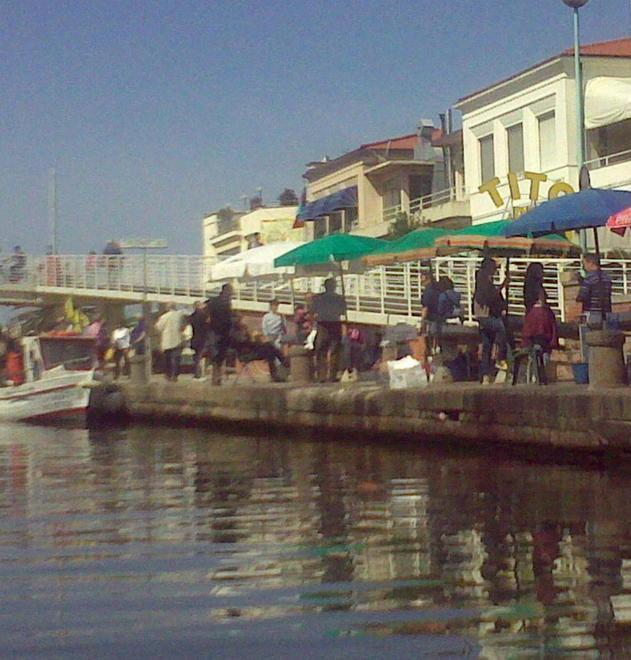 Scoppia la guerra del pesce 