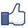 Siamo 2mila su Facebook-Livorno 