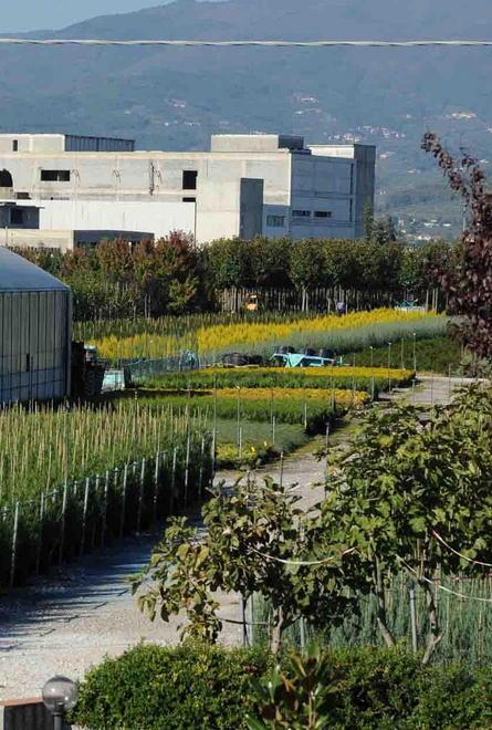 Pistoia e le nuove frontiere della promozione turistica 