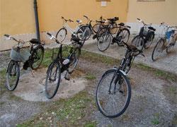 Stop al commercio delle biciclette rubate 