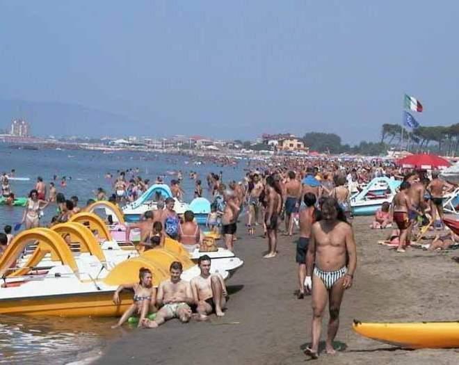 Alga tossica a Marina di Massa, valori 20 volte superiori al limite 