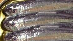 Cucina in festa a Procchio, la sardinata a Cavo