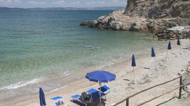 Allarme topi in spiaggia Il Comune: sì alla bonifica