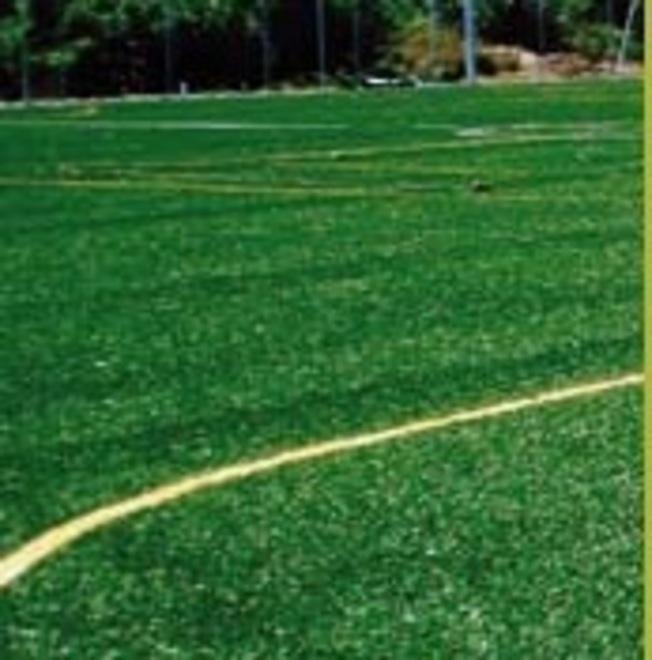 «Perché la Uisp ha il campo dal Comune?». «Non è vero, ce l’ha dato la Pro Livorno»
