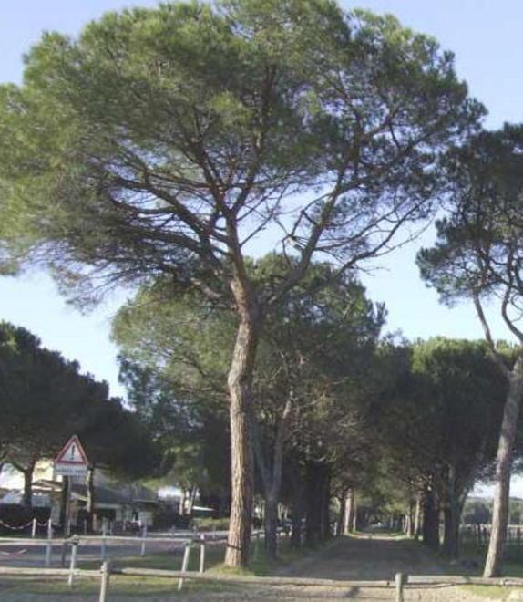 Un nuovo piano per la differenziata dentro la Tenuta 