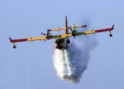 Vasto incendio di bosco minaccia case a Luscignano 
