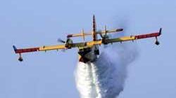 Vasto incendio di bosco minaccia case a Luscignano