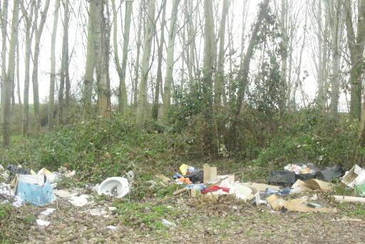 Rifiuti e detriti gettati nei boschi e lungo la strada