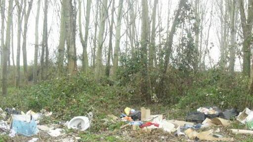 Rifiuti e detriti gettati nei boschi e lungo la strada
