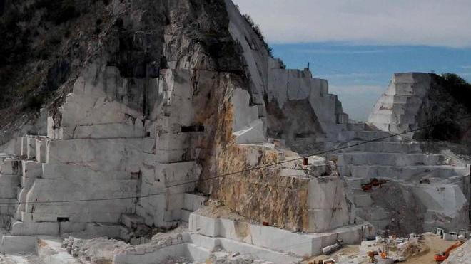 Utili in crescita per il colosso del bianco