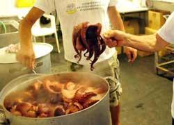 Specialità di mare alla Sagra del pesce 