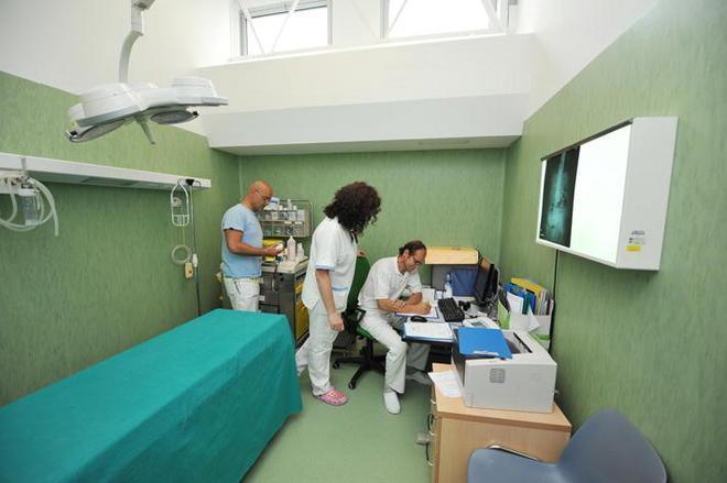 «Gli infermieri del pronto soccorso anche operai» 