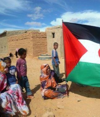 I bambini del Saharawi a Massa e Cozzile 