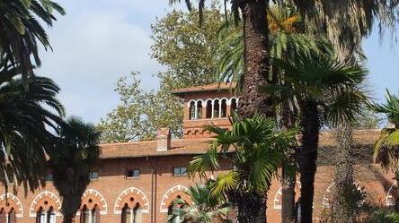 Le bellezze di Massarosa su Rai 1