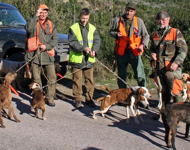Via alla caccia dal 16 settembre 