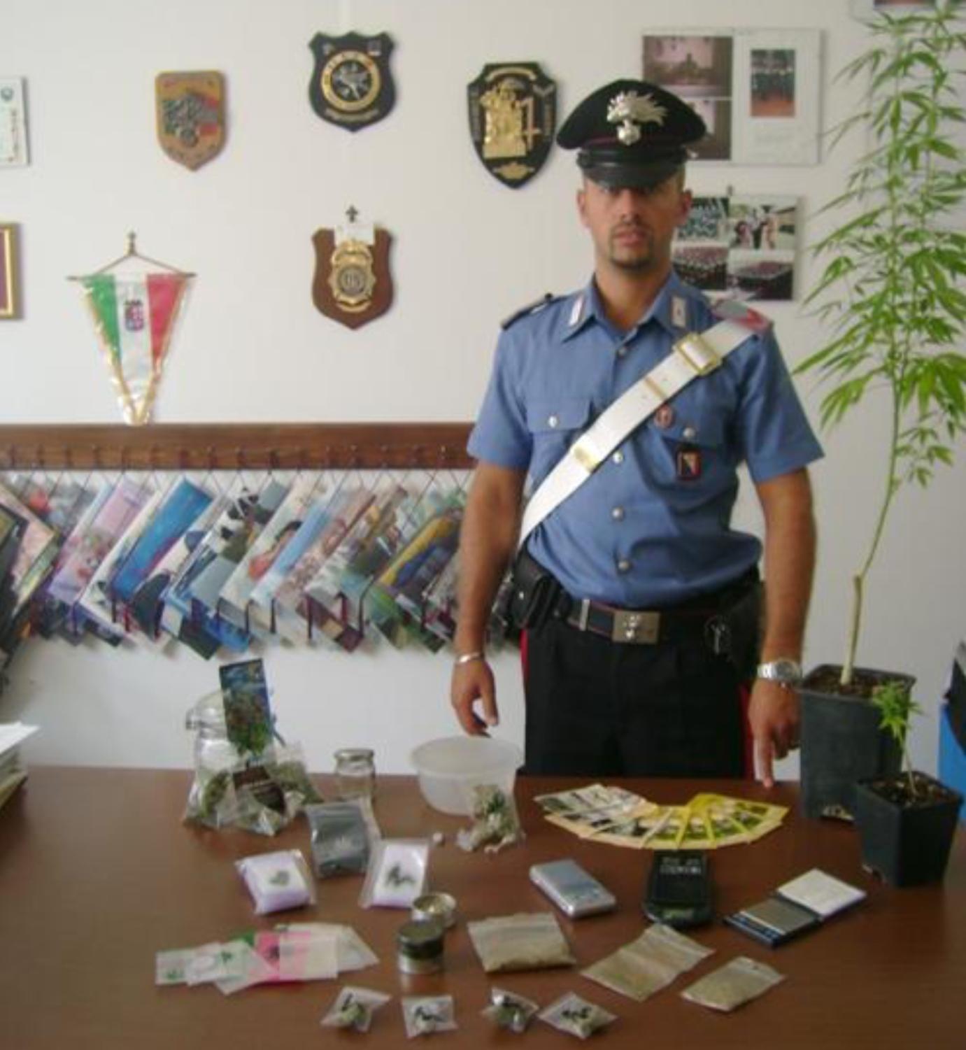Coltiva marijuana nell’orto ma viene scoperto e arrestato 