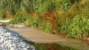 «A mare i liquami del depuratore»