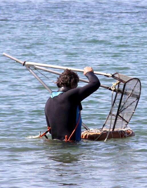 Pescatori di frodo nei guai, «vongole pericolose» 