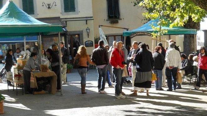 «Il Comune non svuota i cestini dei rifiuti»