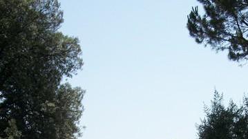 Strade e marciapiedi nel piano delle opere di Borgo a Buggiano