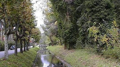 Scarichi non autorizzati nel fosso di Fiumetto