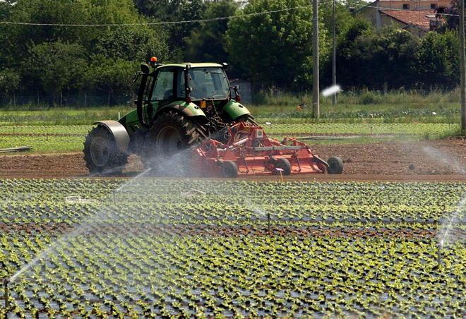 Non piove da tanti mesi chiesto lo stato di calamità 