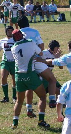 La linea verde paga e il Livorno Rugby punta forte sul vivaio 