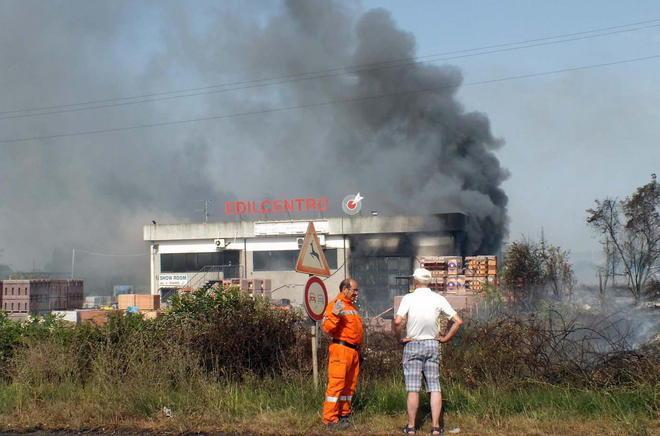 In fiamme quaranta olivi, salvati tre cani in un recinto