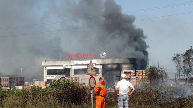 In fiamme quaranta olivi, salvati tre cani in un recinto