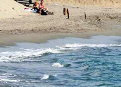 Marina di Carrara, sul litorale l'alga tossica non c'è 