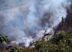Cinquanta ettari di bosco attaccati dalle fiamme 