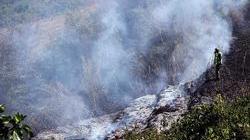 Cinquanta ettari di bosco attaccati dalle fiamme