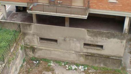 Nell’ex distretto Asl piccioni morti e sporco